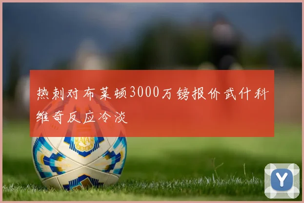 热刺对布莱顿3000万镑报价武什科维奇反应冷淡